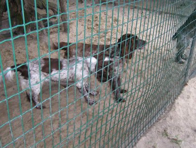 spływy kajakowe  - krutynia-1-10-08-2005