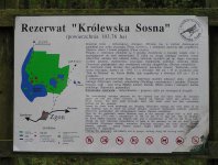 Zdjęcia z naszych spływów kajakowych - krutynia-1-10-08-2005