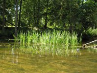 spływy kajakowe  - krutynia-1-10-08-2005