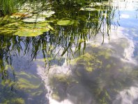 spływy kajakowe  - krutynia-1-10-08-2005