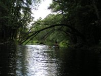 spływy kajakowe  - krutynia-1-10-08-2005