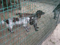 spływy kajakowe  - krutynia-1-10-08-2005