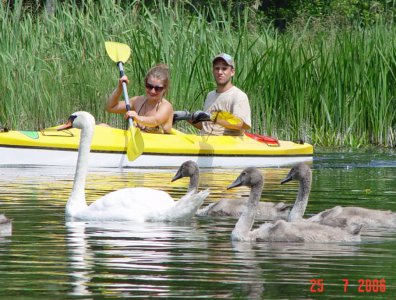 spływy kajakowe  - krutynia-17-07-26-07-2006-najbardziej-rozrywkowy-splyw-w-historii-firmy
