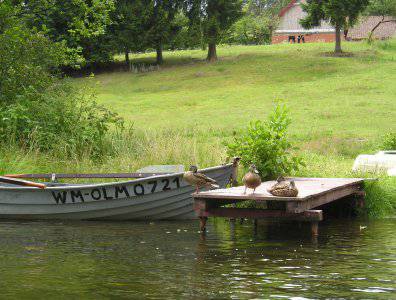 spływy kajakowe  - krutynia-20-07-27-07-2008