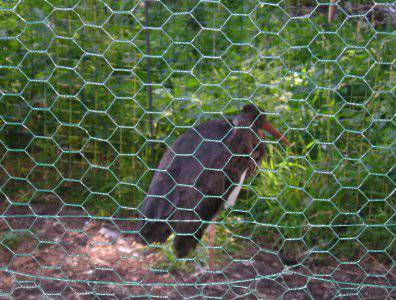 spływy kajakowe  - krutynia-20-07-27-07-2008