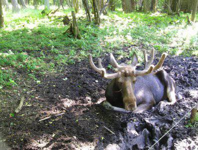 spływy kajakowe  - krutynia-20-07-27-07-2008