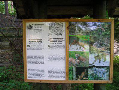 spływy kajakowe  - krutynia-20-07-27-07-2008