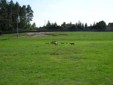 spływy kajakowe  - krutynia-20-07-27-07-2008
