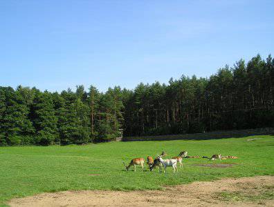 Zdjęcia z naszych spływów kajakowych - krutynia-20-07-27-07-2008