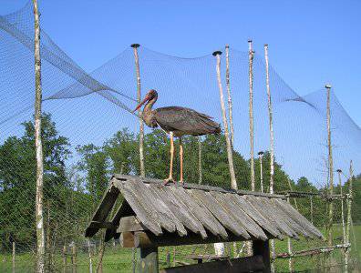 spływy kajakowe  - krutynia-20-07-27-07-2008
