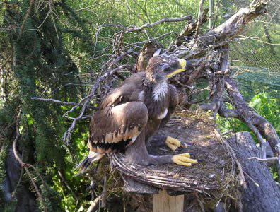 spływy kajakowe  - krutynia-20-07-27-07-2008