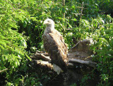 spływy kajakowe  - krutynia-20-07-27-07-2008
