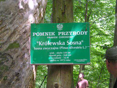 spływy kajakowe  - krutynia-20-07-27-07-2008