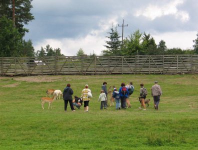 spływy kajakowe  - fotki-oli