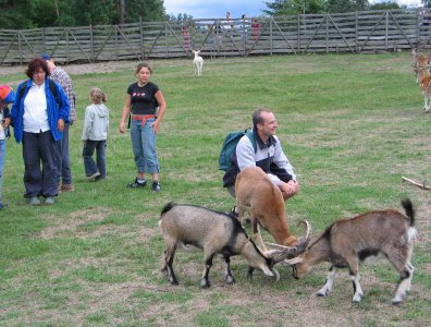spływy kajakowe  - fotki-oli