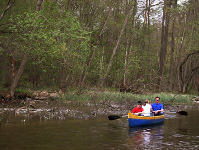 spływy kajakowe  - krutynia-sezon-2006r