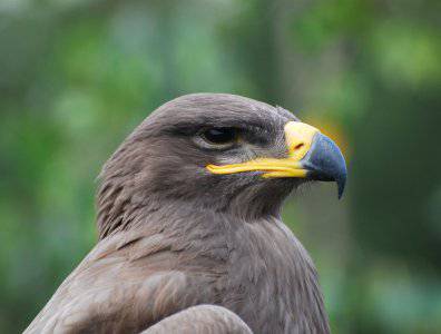 spływy kajakowe  - splyw-18-25-sierpien-2008