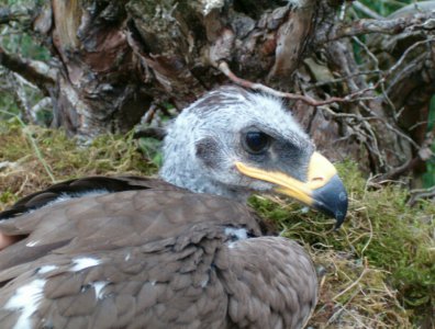 spływy kajakowe  - krutynia-13-20-07-2008