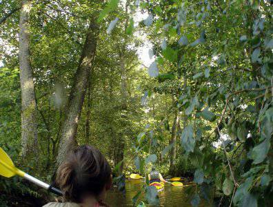 spływy kajakowe  - krutynia-18-25-08-2008