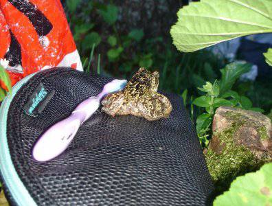 spływy kajakowe  - krutynia-18-25-08-2008