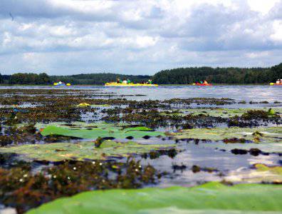 spływy kajakowe  - krutynia-18-25-08-2008