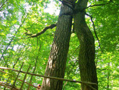 spływy kajakowe  - krutynia-18-25-08-2008