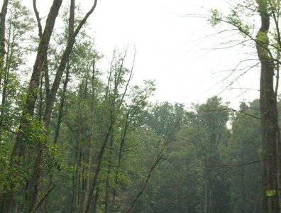 spływy kajakowe  - krutynia-18-25-08-2008