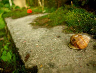 spływy kajakowe  - krutynia-18-25-08-2008