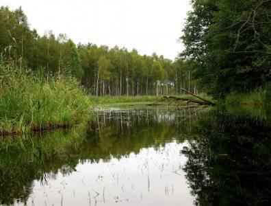 spływy kajakowe  - krutynia-18-25-08-2008