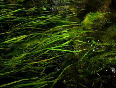 Zdjęcia z naszych spływów kajakowych - krutynia-18-25-08-2008