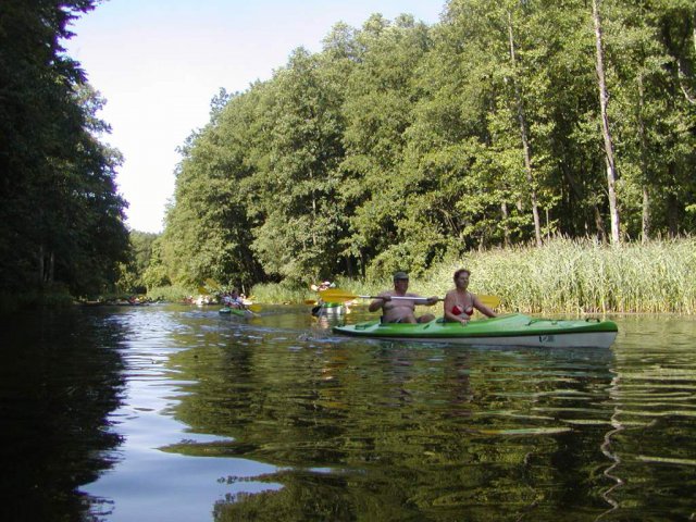 Brak tytułu