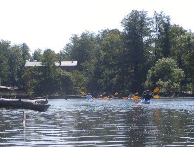 spływy kajakowe  - krutynia-27-07-03-08-2008