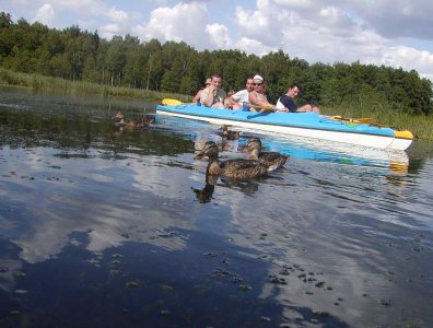 spływy kajakowe  - krutynia-02-09-08-2009
