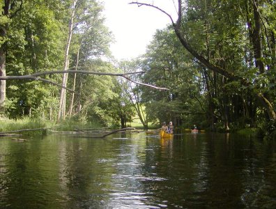 spływy kajakowe  - krutynia-02-09-08-2009