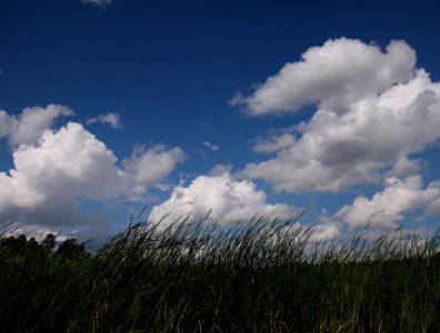 spływy kajakowe  - krutynia-5-12-07-2009