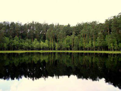 spływy kajakowe  - krutynia-5-12-07-2009