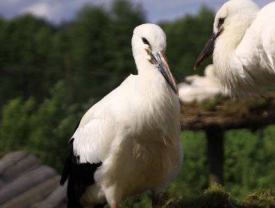 spływy kajakowe  - krutynia-5-12-07-2009