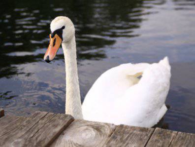 spływy kajakowe  - krutynia-5-12-07-2009