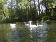 Zdjęcia z naszych spływów kajakowych - krutynia-5-12-07-2009