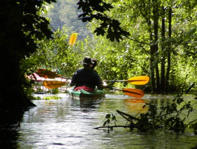 spływy kajakowe  - krutynia-19-26-07-2009