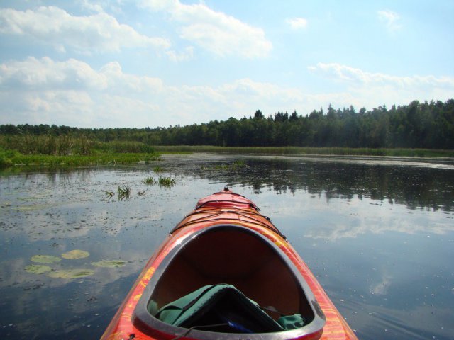 Brak tytułu