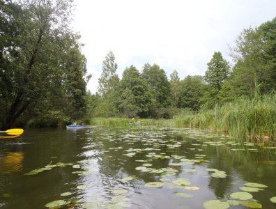 spływy kajakowe  - krutynia-03-10-07-2011