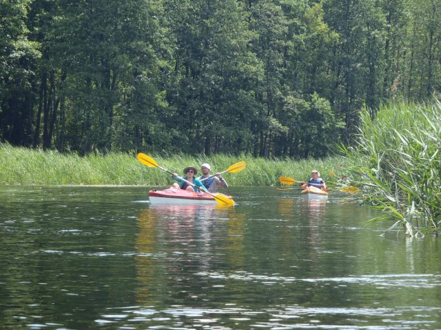 Brak tytułu