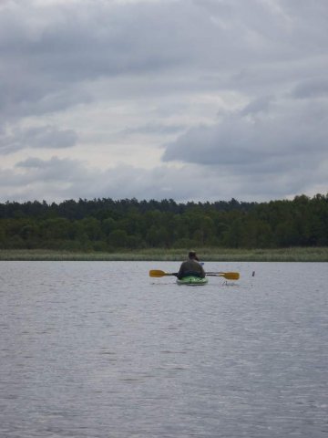 Brak tytułu