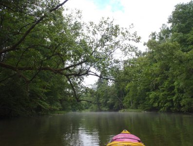 spływy kajakowe  - boze-cialo-2011