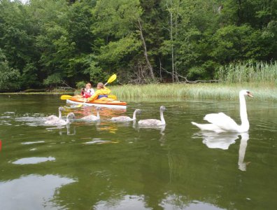 spływy kajakowe  - boze-cialo-2011