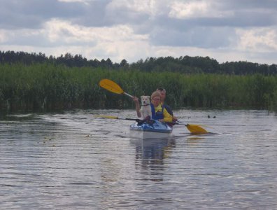 spływy kajakowe  - boze-cialo-2011