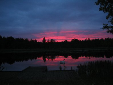 spływy kajakowe  - rospuda-2005