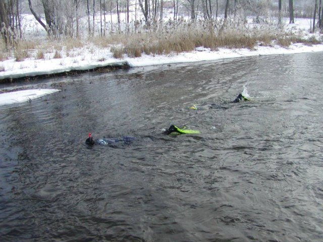 Brak tytułu