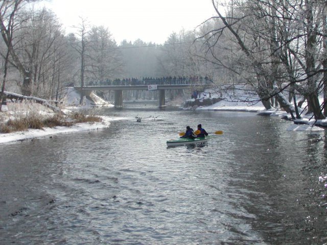 Brak tytułu